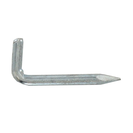 Gonds à Pointe Acier Zingué 2,5x20 mm - Lot de 20