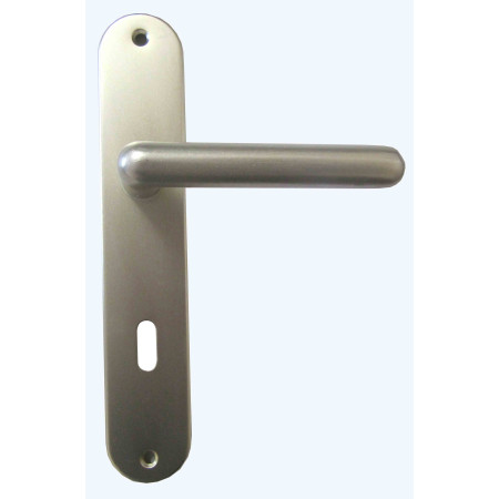 Poignée de porte Thonon Alu Champagne Entraxe 195mm - 1er Prix