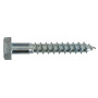 Tirefonds Acier Zingué 6x25 - INVENTIV - Fixation Robuste et Durable