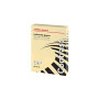 Office Depot - Papier Crème A4 - Impression Durable