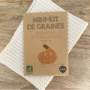 Mini kit de graines  Raymond le potimarron