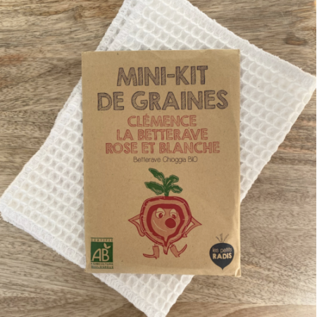 Mini kit de graines  Clémence la betterave rose et blanche