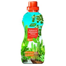 Westland Eau Cactus & Plantes Grasses - Solution Nutritive