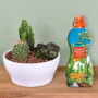 Westland Eau Cactus & Plantes Grasses - Solution Nutritive