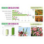 Biostimulant Plantation Coup de Boost - Algues