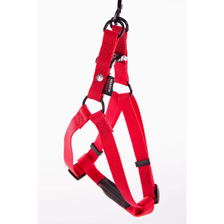 Harnais Chien Martin Sellier Rouge - Nylon Robuste
