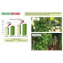 Biostimulant Plantation Coup de Boost' - Algues