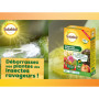 Solabiol Insectes Polyvalents - Traitement Bio