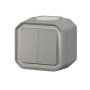 Interrupteur Double Legrand Plexo Gris IP55