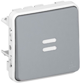 Interrupteur Double Legrand Plexo Gris Anthracite