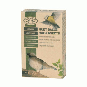 6 Boules de Graisse pour Oiseaux Sans Filet