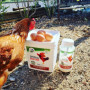 Terre de Diatomée Nustera pour Basse Cour Hygiène Poules