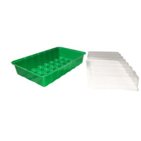 Mini Serre de Semis Jany France : Germination Réussie
