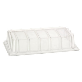 Couvercle Germination Transparent pour Plaque 50x32cm