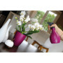 Pulvérisateur Décoratif Hozelock Plantes Maison Jardin