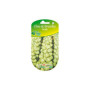 Choux Bruxelles Sanda - Graines Les Doigts Verts