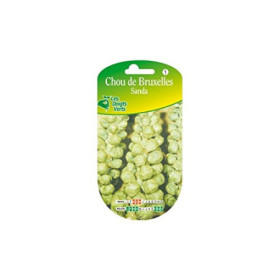 Choux Bruxelles Sanda - Graines Les Doigts Verts