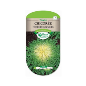 Chicorée Frisée Louviers Les Doigts Verts : Graines