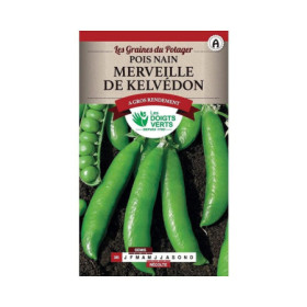Pois Nain Merveille de Kelvedon Les Doigts Verts