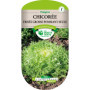 Chicorée Frisée Grosse Pommant Seule Les Doigts Verts