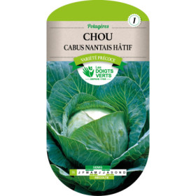 Chou Cabus Nantais Hâtif Les Doigts Verts