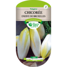 Chicorée Endive de Bruxelles Les Doigts Verts : Semences