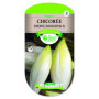 Chicorée Endive ZOOM F1 - Graines Les Doigts Verts