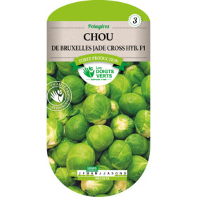 Chou de Bruxelles Jade Cross F1 Les Doigts Verts