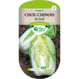 Chou Chinois Pe-Tsaï Les Doigts Verts : Graines