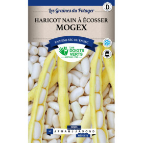 Haricot Nain Mogex Les Doigts Verts - Graines Potagères