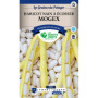 Haricot Nain Mogex Les Doigts Verts - Graines Potagères