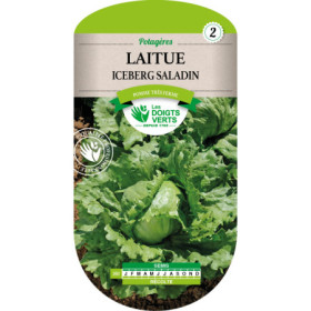 Laitue Iceberg Saladin Les Doigts Verts : Croquante
