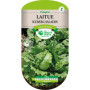 Laitue Iceberg Saladin Les Doigts Verts : Croquante