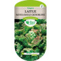 Laitue Batavia Rouge Grenobloise Les Doigts Verts