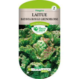 Laitue Batavia Rouge Grenobloise Les Doigts Verts