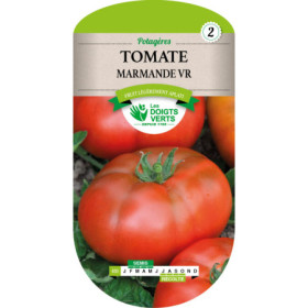 Tomate Marmande VR Les Doigts Verts Semences Précoces