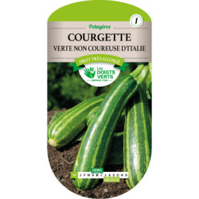 Courgette Verte Non Coureuse d'Italie Les Doigts Verts
