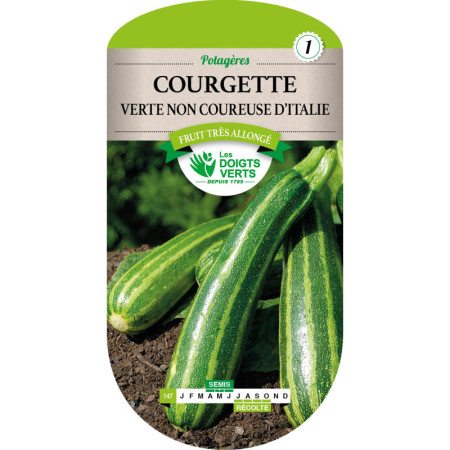 Courgette Verte Non Coureuse d'Italie Les Doigts Verts