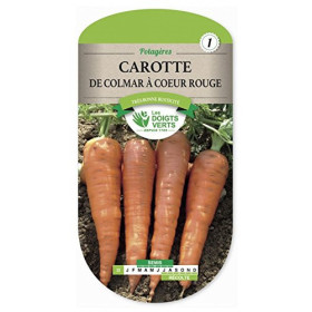 Carotte de Colmar Coeur Rouge - Graines Les Doigts Verts