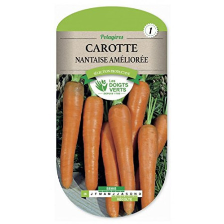 Semences Carotte Nantaise Améliorée Les Doigts Verts