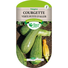 Courgette Verte Petite d'Alger - Les Doigts Verts