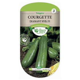 Courgette Diamant F1 - Graines Potagères Faciles