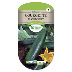 Courgette Black Beauty Les Doigts Verts Graines