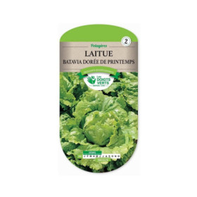 Laitue Batavia Dorée Printemps - Les Doigts Verts
