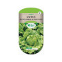 Laitue Batavia Dorée Printemps - Les Doigts Verts