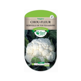 Chou-fleur Merveille Toutes Saisons - Les Doigts Verts
