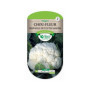 Chou-fleur Merveille Toutes Saisons - Les Doigts Verts