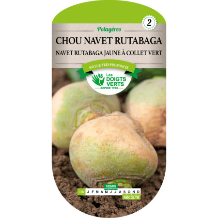 Rutabaga Jaune à Collet Vert Les Doigts Verts