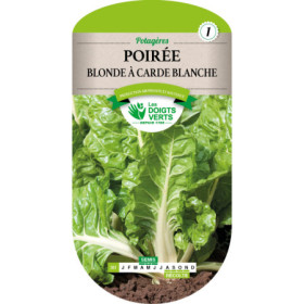 Poirée Blonde Carde Blanche Les Doigts Verts