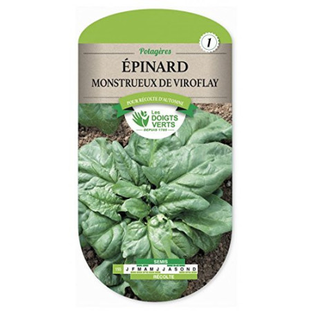 Épinard Monstrueux de Viroflay Bio Graines Voltz